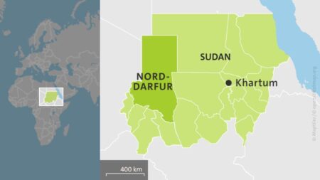 INTERVIEW-IGAD envoy says Sudan return discussed, ceasefire priority – Sudan Tribune