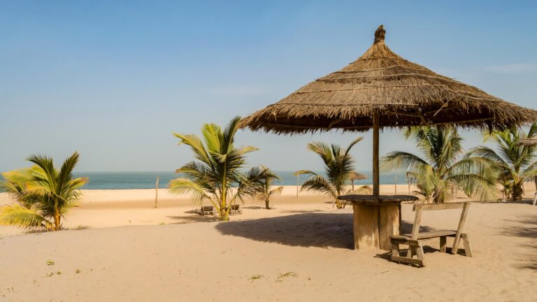 Gambia to Slash Tariffs on 90% of Intra-African Trade Goods Gambia to eliminate tariffs on 90% of goods traded within Africa – The Point.gm