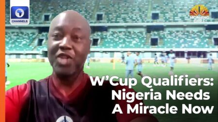 W’Cup qualifiers: Lesotho urges FIFA to be fair over Mokoena’s ban – Punch Newspapers
