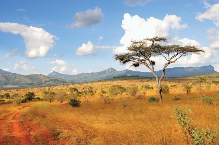 Ruthless politicking and financial gymnastics bring Kenya to a complex crossroads – African Energy