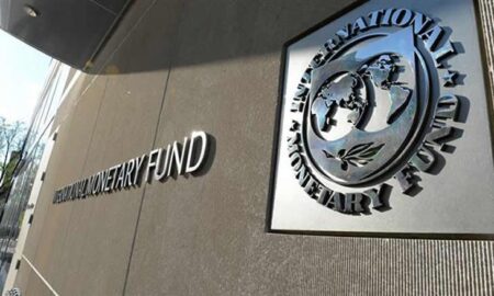 IMF Approves $1.2 Billion Disbursement for Egypt Amid Economic Reforms – Africanews