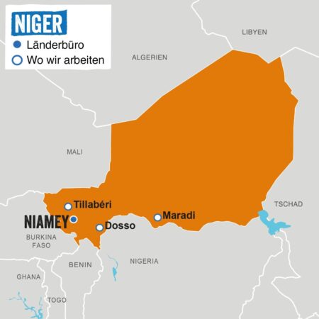 Niger’s junta withdraws from Lake Chad anti-Islamist force – The Guardian