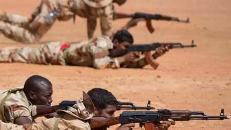 Mali, Niger, Burkina recall ambassadors from Algeria over drone incident – RFI