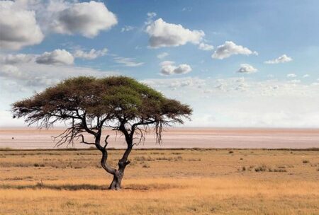 Botswana seeks new Eskom power deal as supply crisis deepens – Mining Weekly