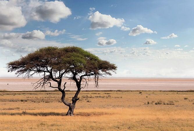 Botswana seeks new Eskom power deal as supply crisis deepens – Mining Weekly