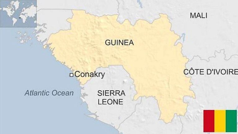Guinea Opposition Slams Junta’s Constitution Vote as a ‘Distraction Guinea Opposition Calls Junta’s Constitution Vote a ‘Diversion’ – News Central TV