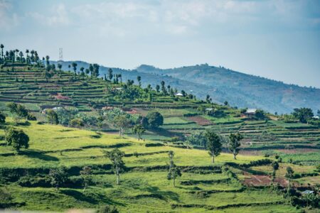 Eye on Africa – Rwanda and DR Congo officials hold second round of talks as M23 meets mediators – France 24
