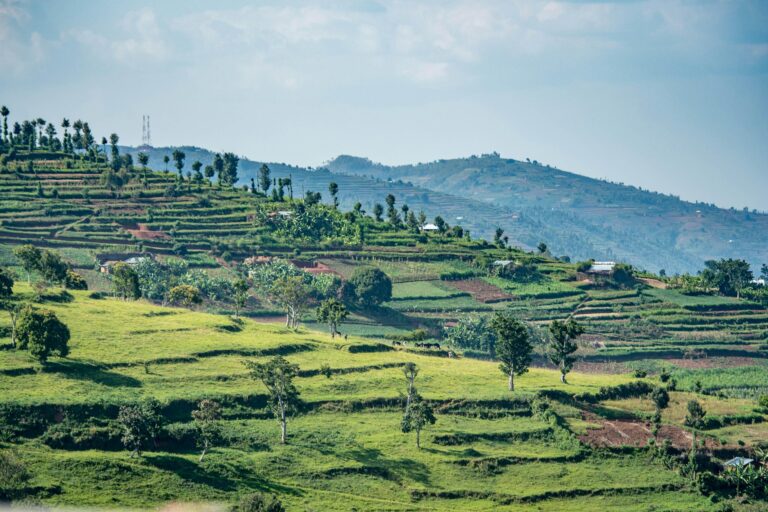 Eye on Africa – Rwanda and DR Congo officials hold second round of talks as M23 meets mediators – France 24