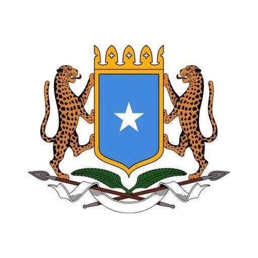Challenges‌ Faced by ⁣the Somali Government in ⁤Countering the Islamic State