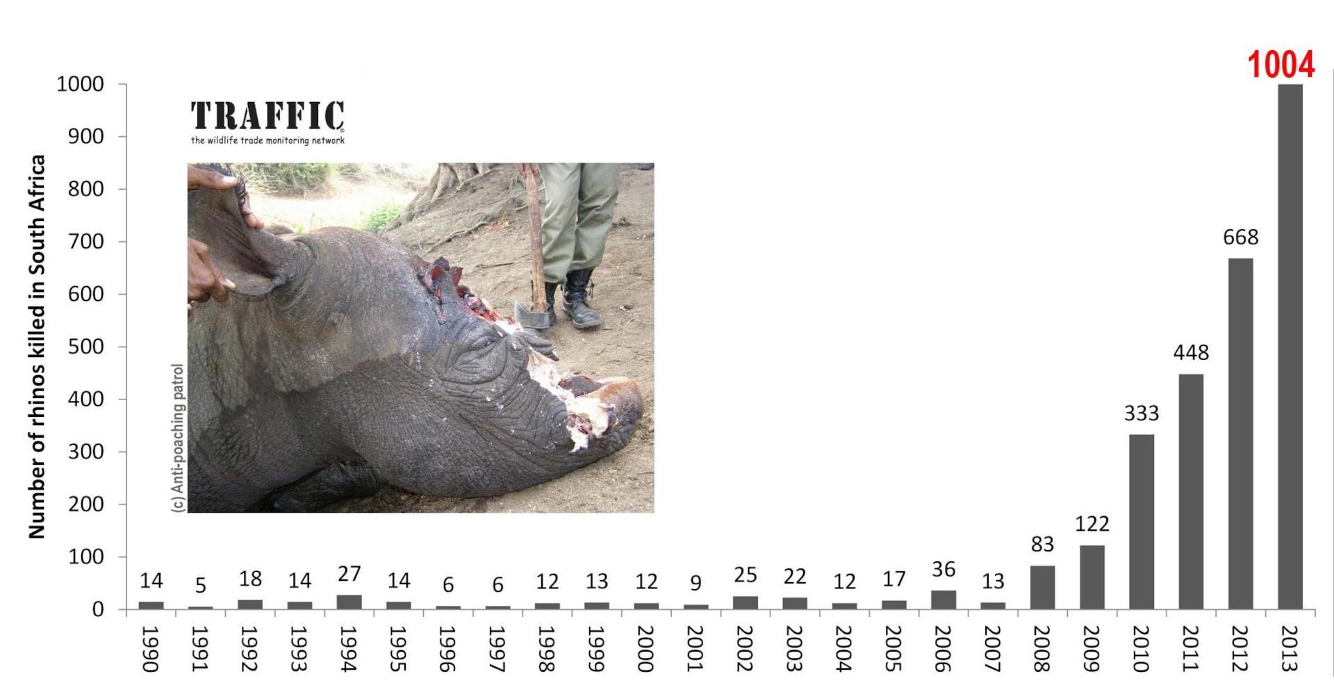 Looking Ahead: strategies for Sustainable Rhino Populations