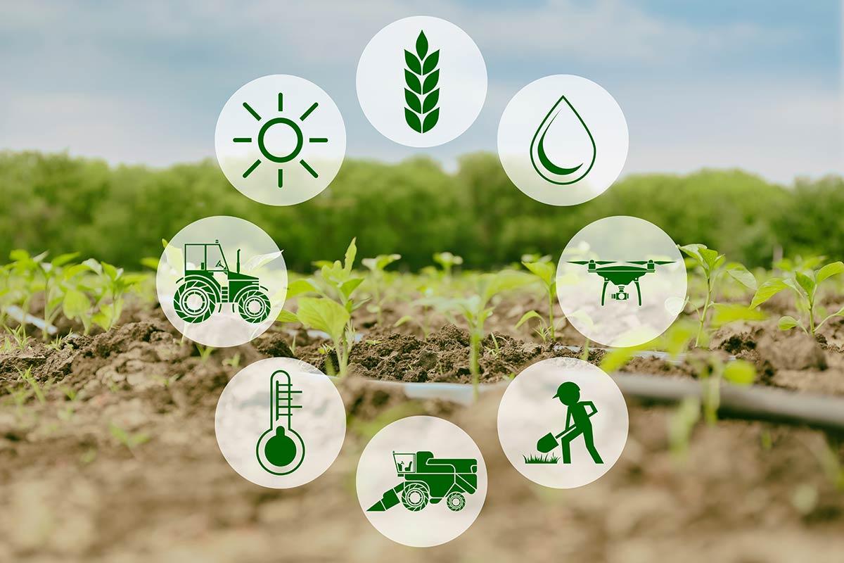 assessing Agricultural Policies and Food Security ​Initiatives