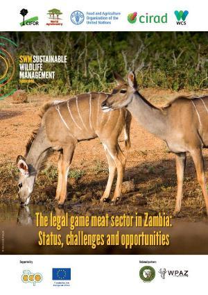 Policy Recommendations: Strengthening Regulations in the wild Meat Sector