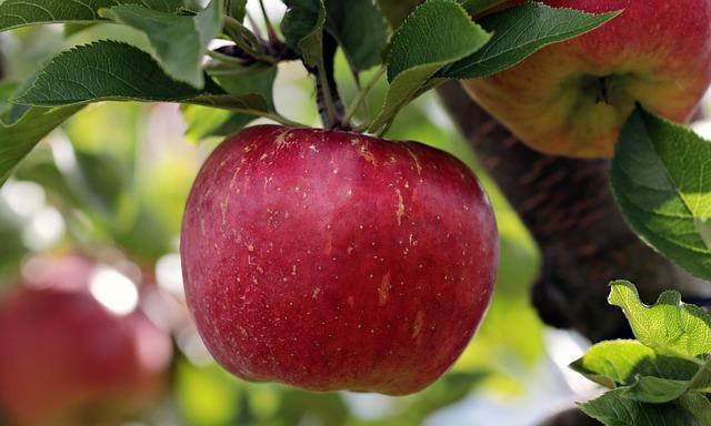 Understanding Apple’s New Emoji and Its Cultural Significance