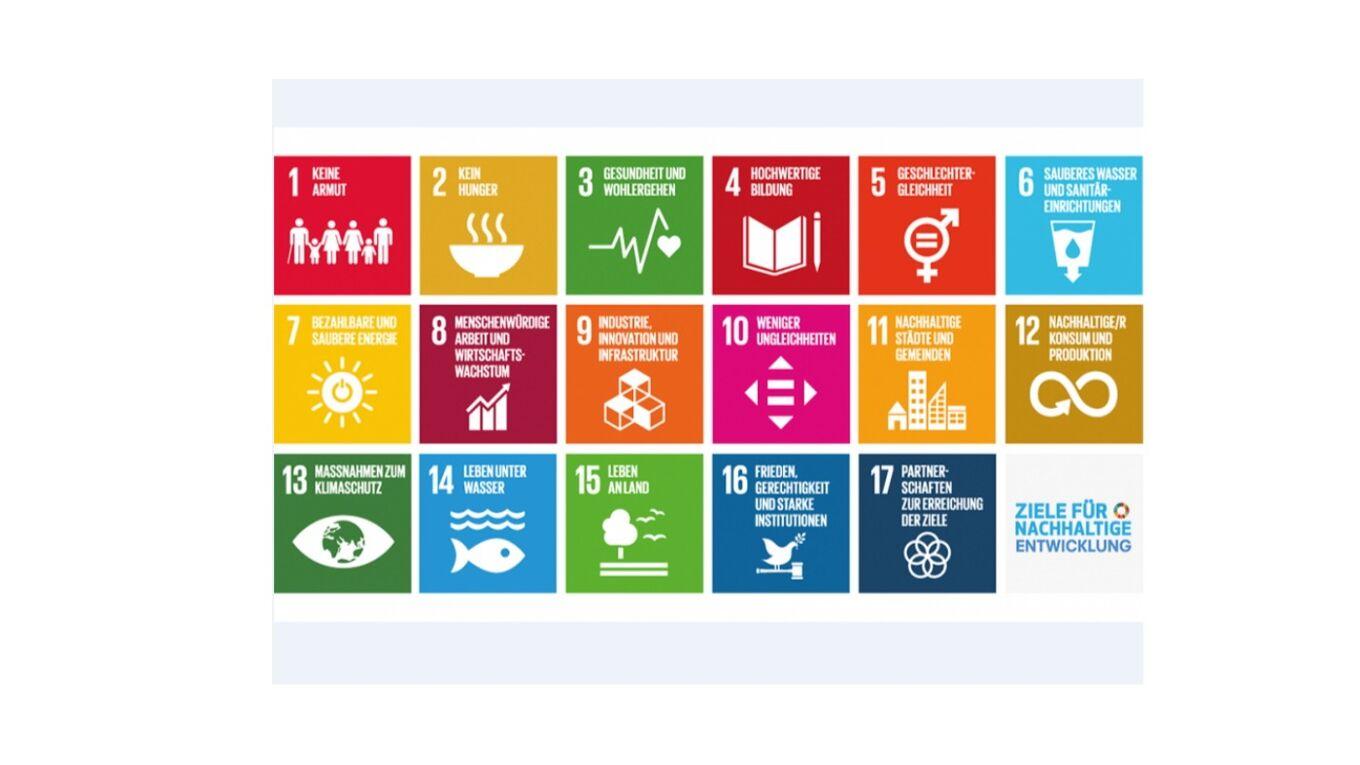 Collaborative Efforts with Togo’s Government for Sustainable Development