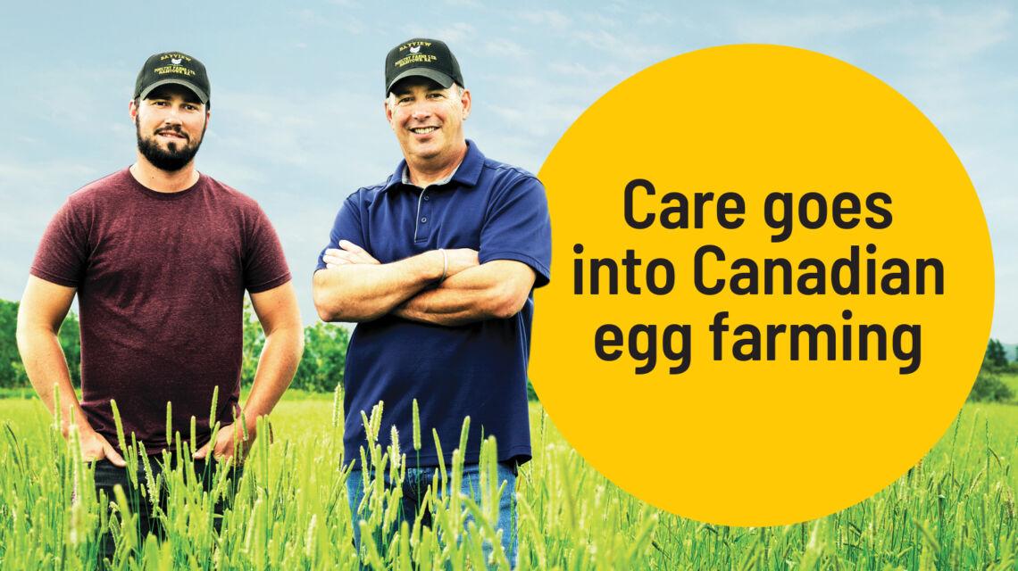 Future Prospects: Expanding the Canadian-Eswatini Agricultural Relationship