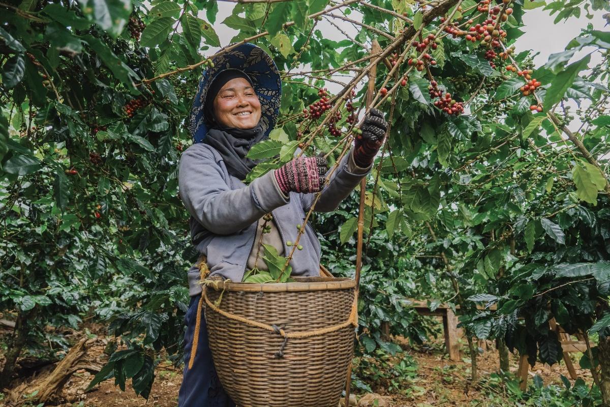 Policy Recommendations for Supporting Smallholder Farmers