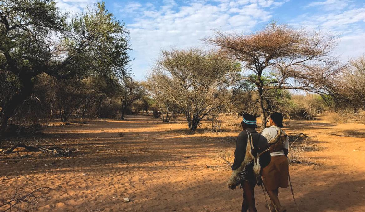 Botswana and Namibia: ​Collaboration ‌Opportunities to Enhance Cross-Border Tourism