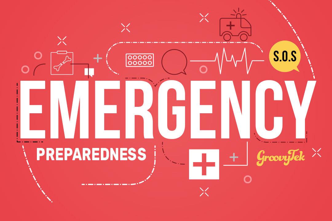 Emergency Preparedness Strategies Adopted by Local Authorities