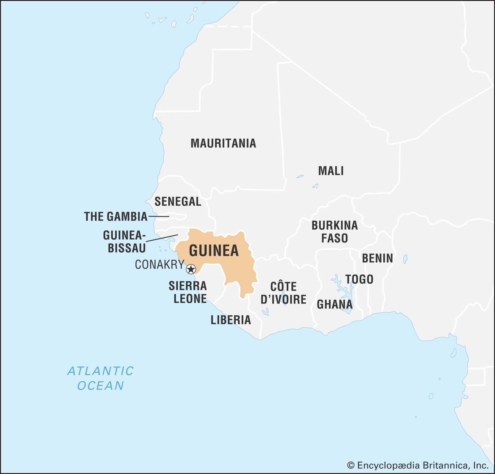 International Response to guinea's Constitutional Developments and Future⁢ Considerations