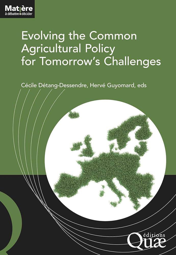Policy Recommendations: Strengthening the agricultural Sector for Future Prosperity