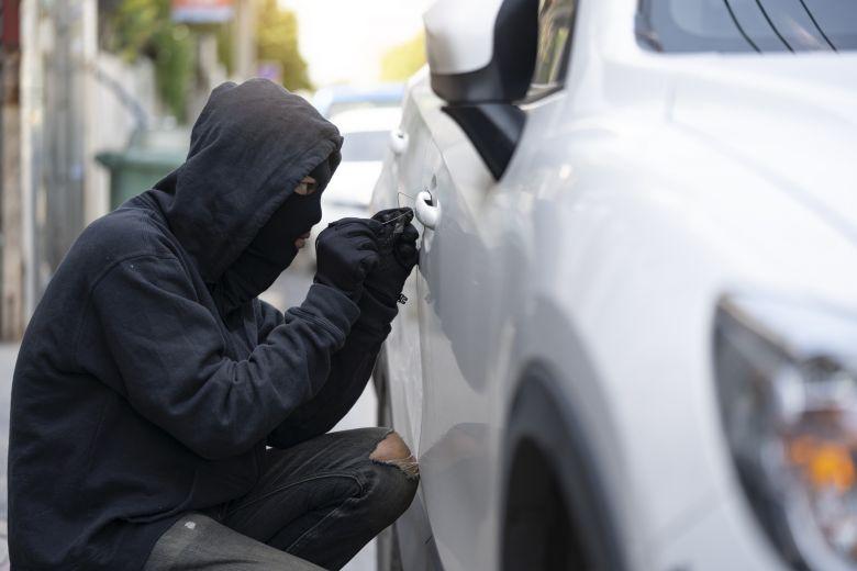 Investigating ⁣the rising Incidents of Vehicle and Livestock Theft in Taung