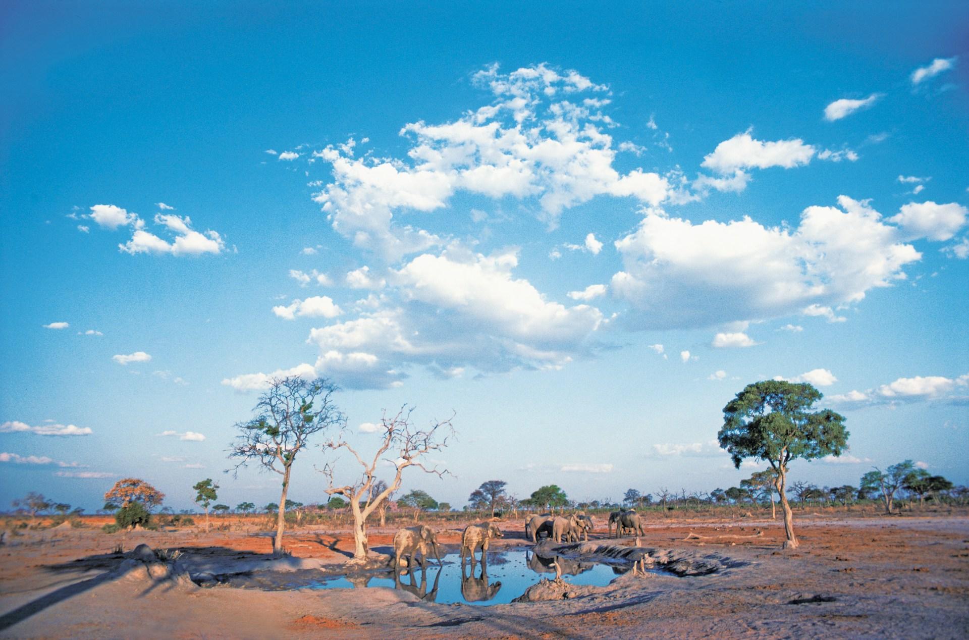 Consumer Benefits and ⁤Market Accessibility​ in Botswana