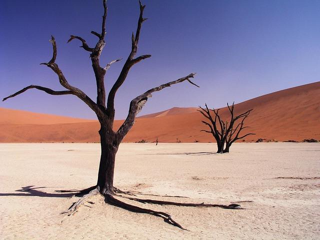 The Best time to Experience Sossusvlei's Majestic Dunes