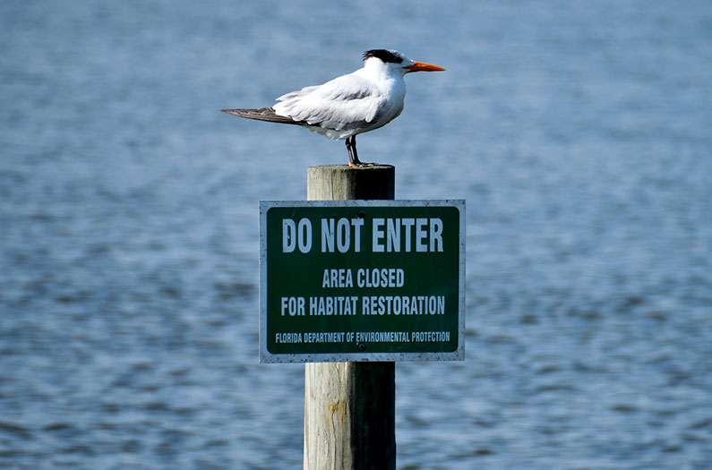 Effective Strategies for Habitat protection and Restoration in coastal Areas