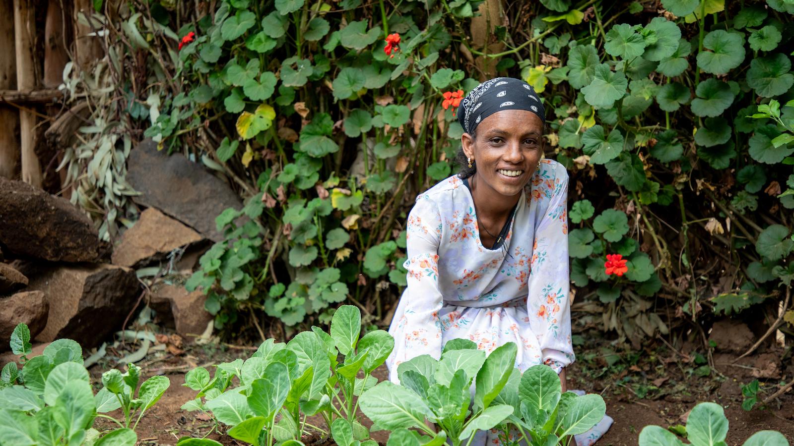 Ethiopia's Landmark Move Toward Financial Modernization