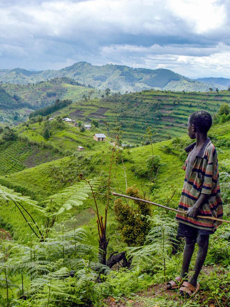 Understanding‌ the Role of Angola Cables ‌in African Digital Transformation