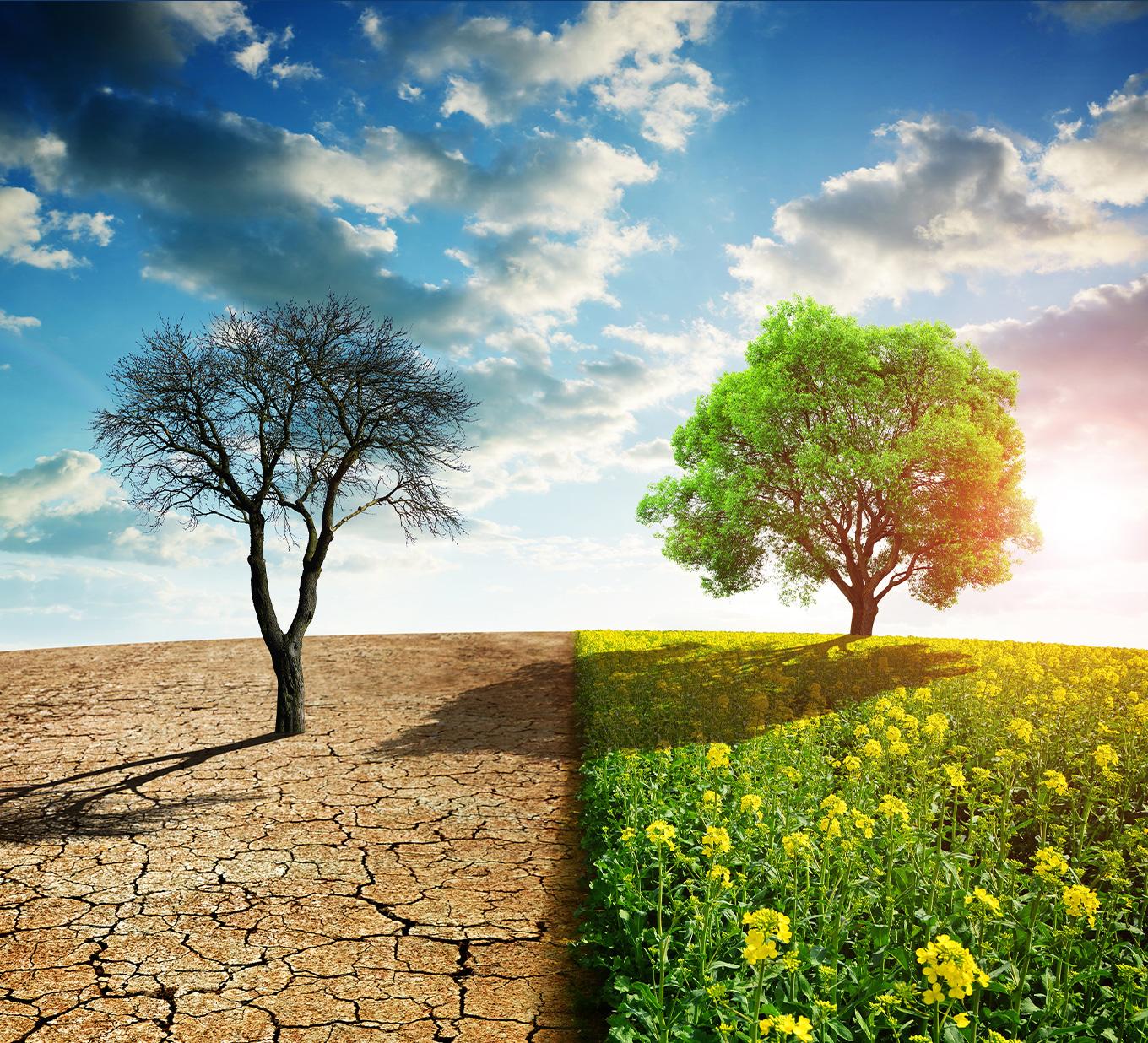 Impacts of Climate Change on Water Resources in Southern Africa