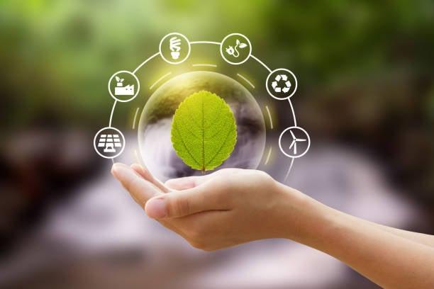 Sustainable Practices: How Príncipe is Setting a Global Example