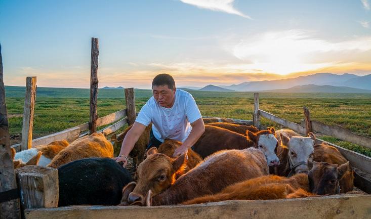 Preventative ⁤Measures for Farmers to Secure Livestock and Property