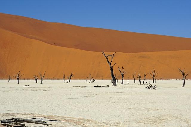 essential Activities and attractions in the Sossusvlei Area