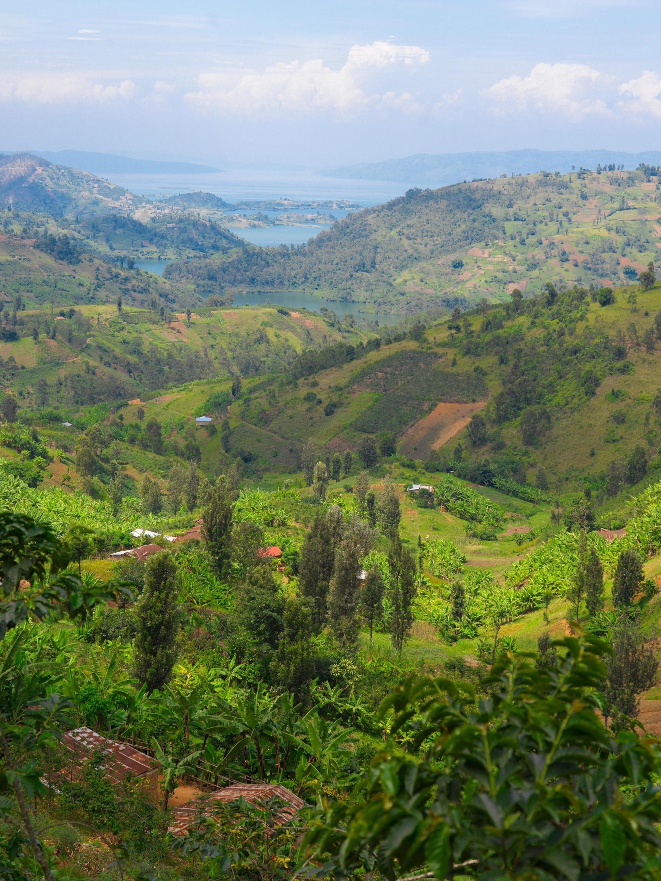 Rwanda's ‍Response: Denials and Diplomatic Implications