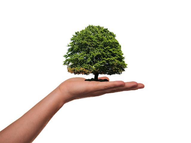 Community Awareness and Education as Key to Prevention