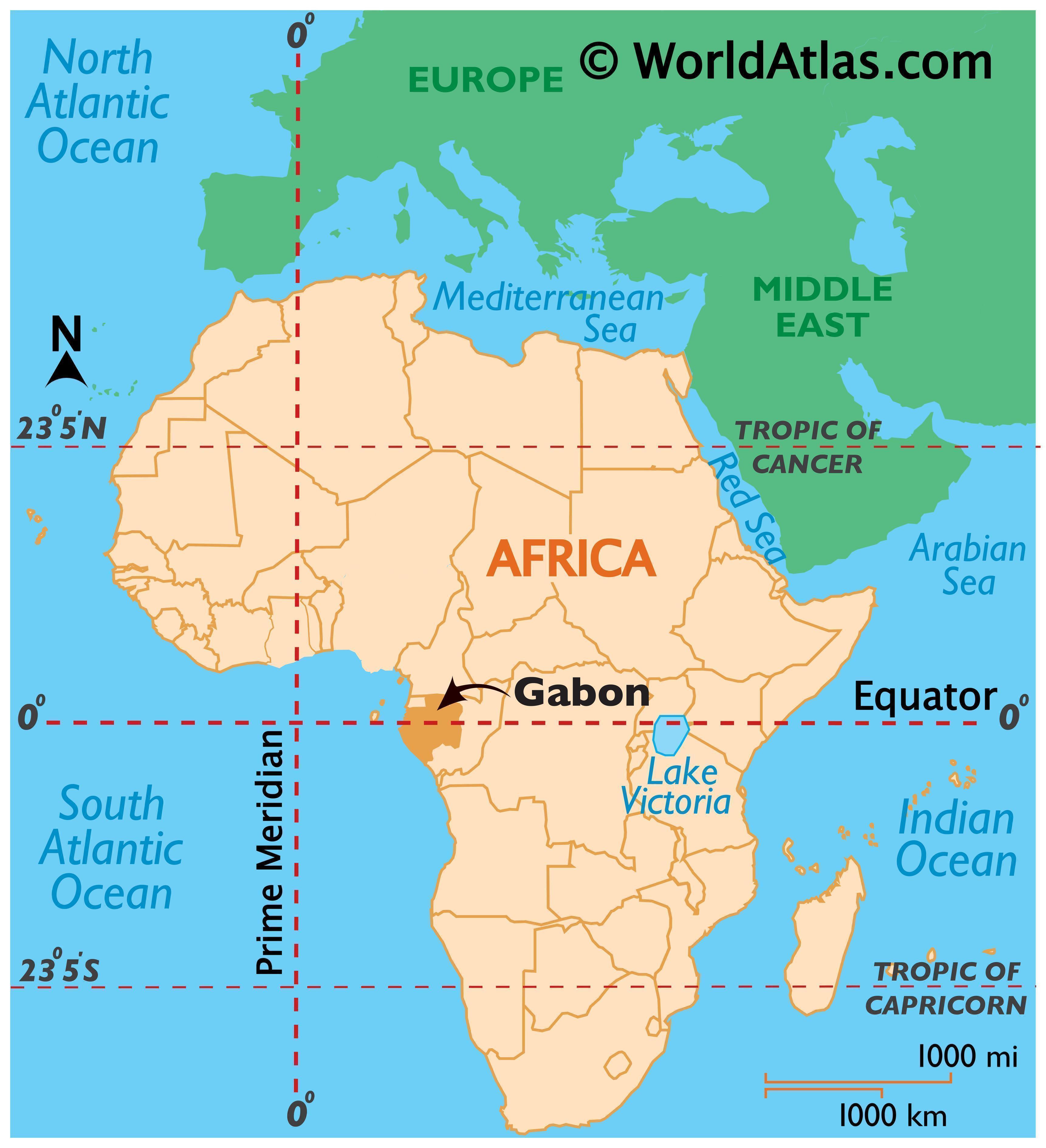 Public Sentiment on Social Media: Gabon's Response to Oligui's Leadership