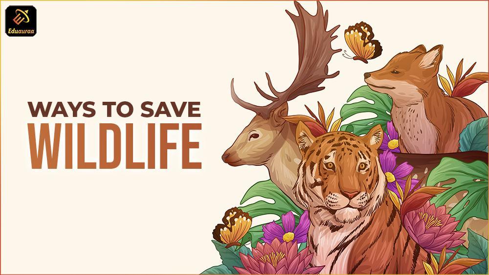 Community Involvement in Wildlife Conservation Efforts
