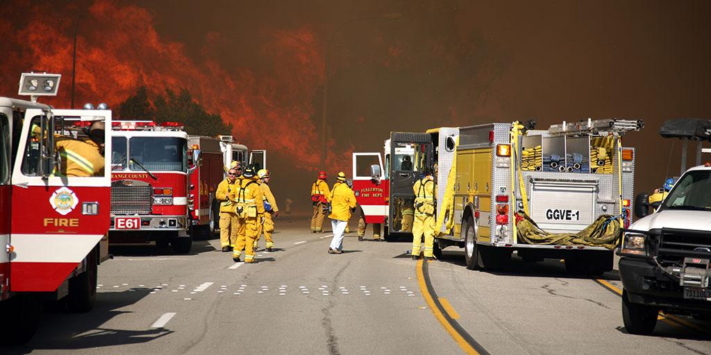 Emergency Response: How Authorities Are managing the Aftermath