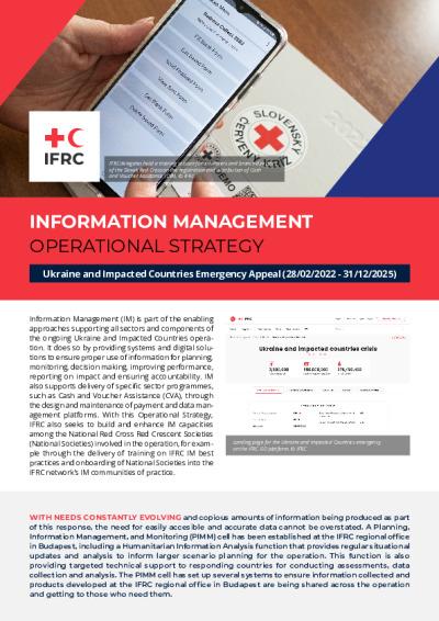 International Response Strategies and Support Mechanisms