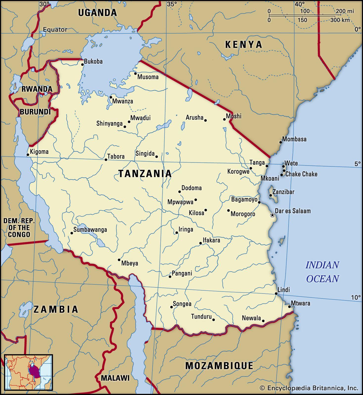 The Future of Tanzania's Foreign Currency Policy: Trends and Predictions