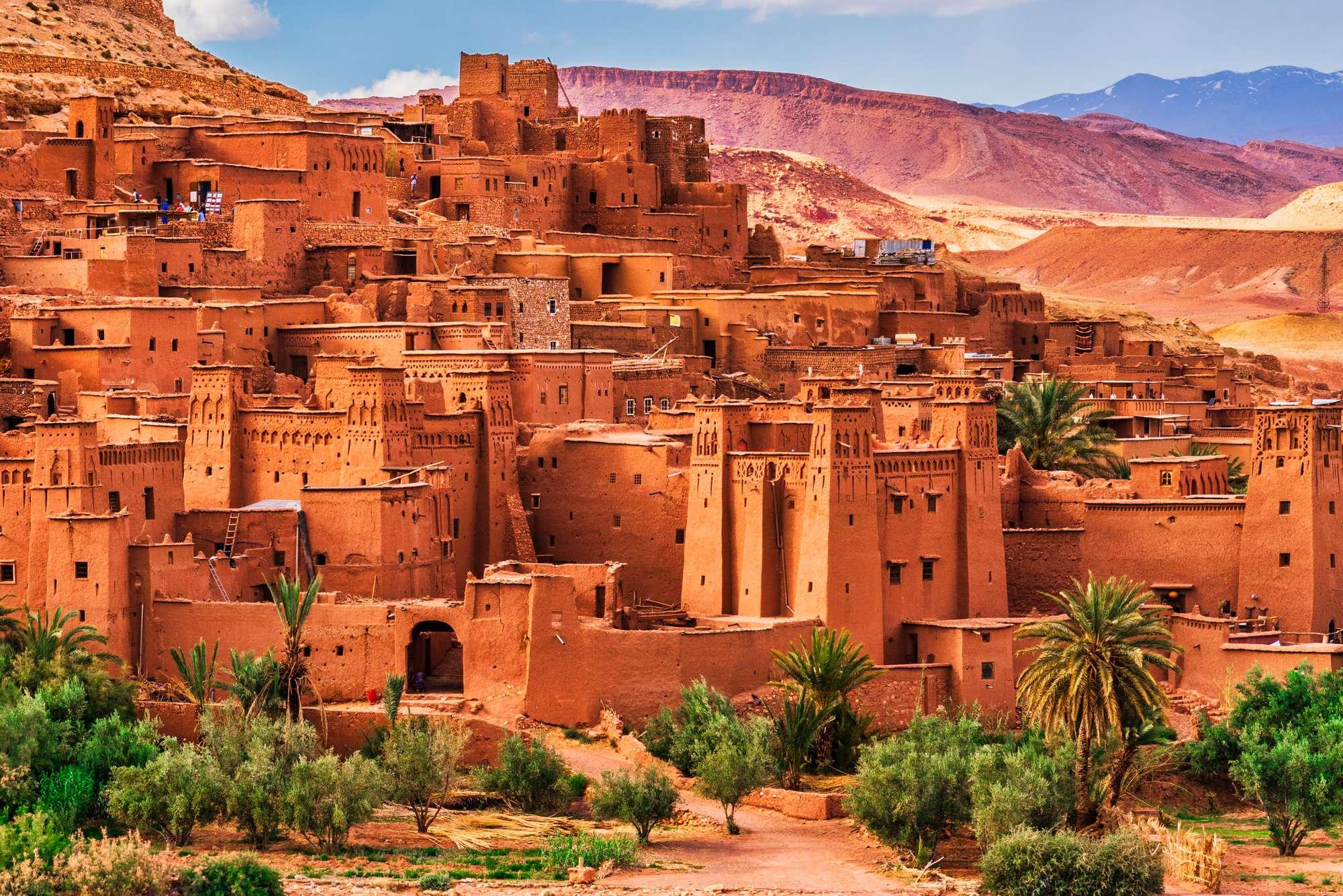 Morocco Secures Spot at 2024 African Nations Championship Following Algeria's Withdrawal