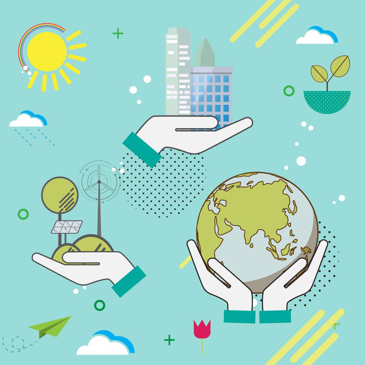 Case Studies: Successes and Challenges in Sustainable Practices