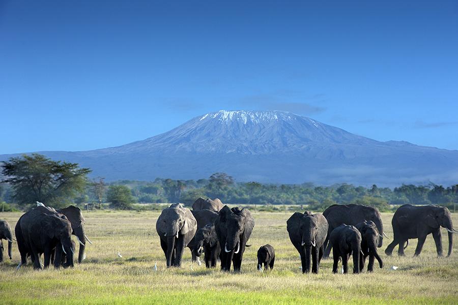 Tanzania Emerges as the Largest Source of Foreign Direct Investment in Kenya