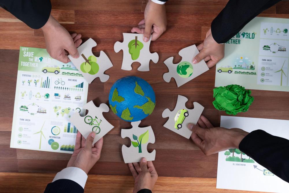 Future Opportunities: Building Sustainable Collaborations in Education
