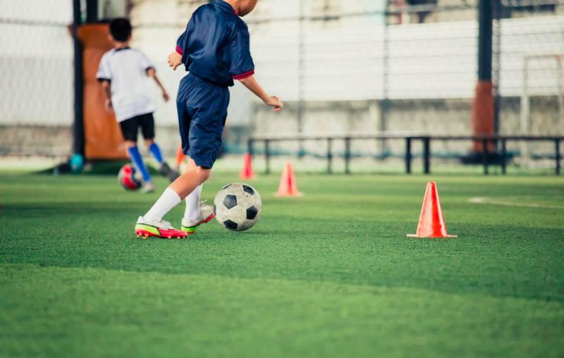 Bridging the Skills Gap: How ​Sports⁣ Training Combats Underemployment