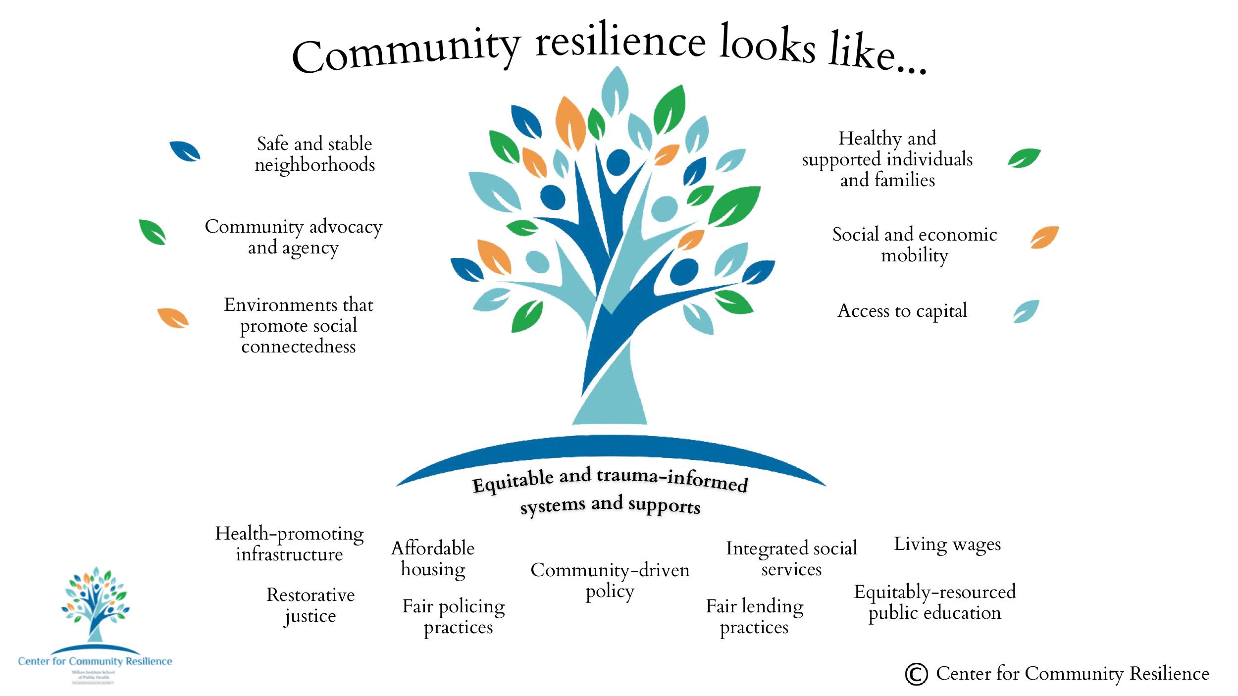 Community Resilience: Lessons Learned from Past Cyclone Experiences