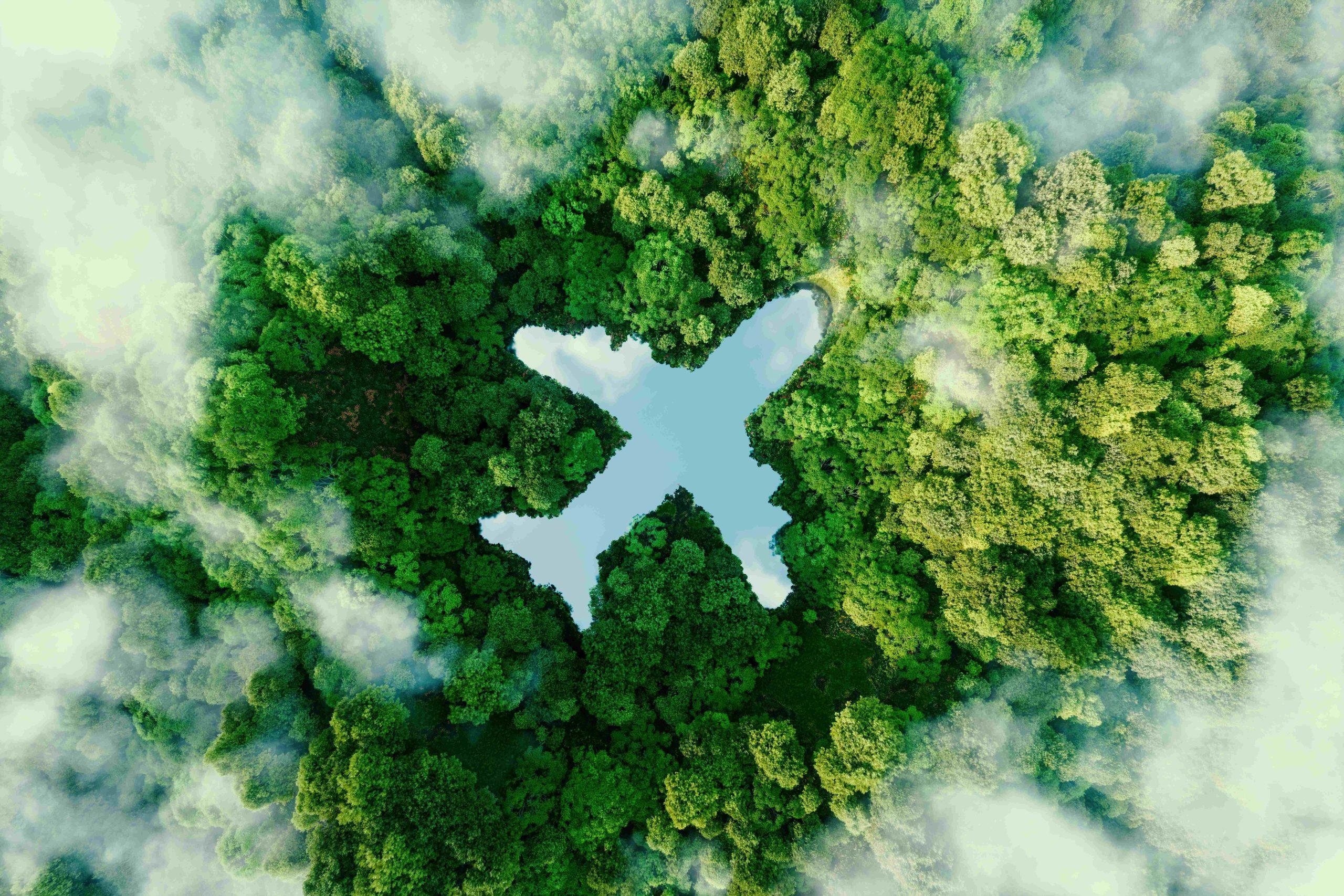 Sustainable Travel: Supporting Local Communities and Conservation