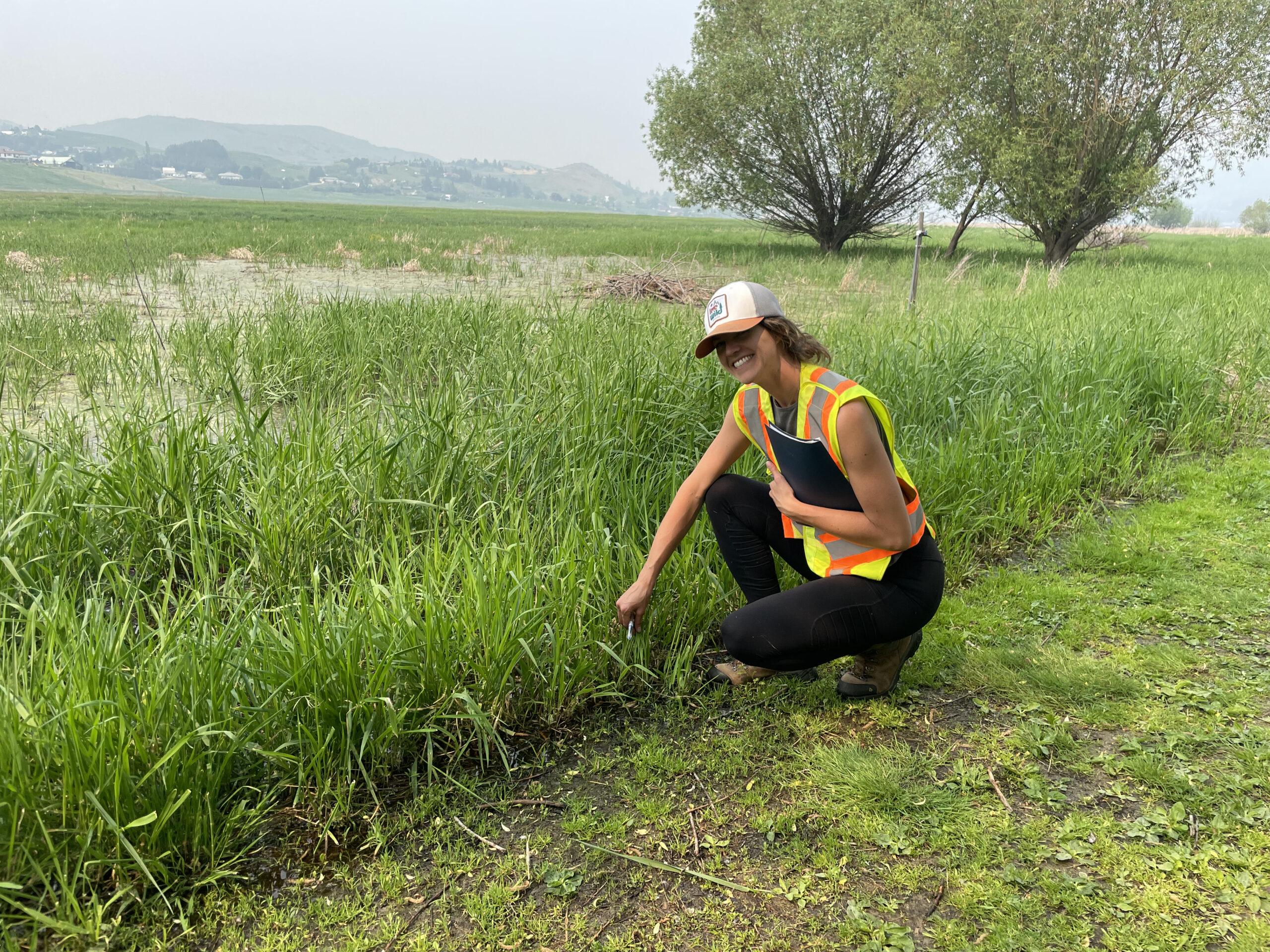 Collaborative Conservation: Partnering with NGOs and Government for Lasting Impact