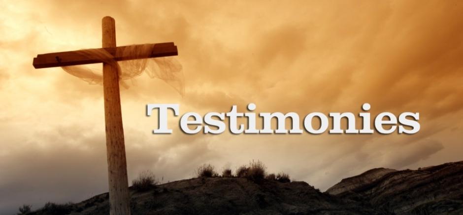 Testimonies: Life in Constant Fear and Silence